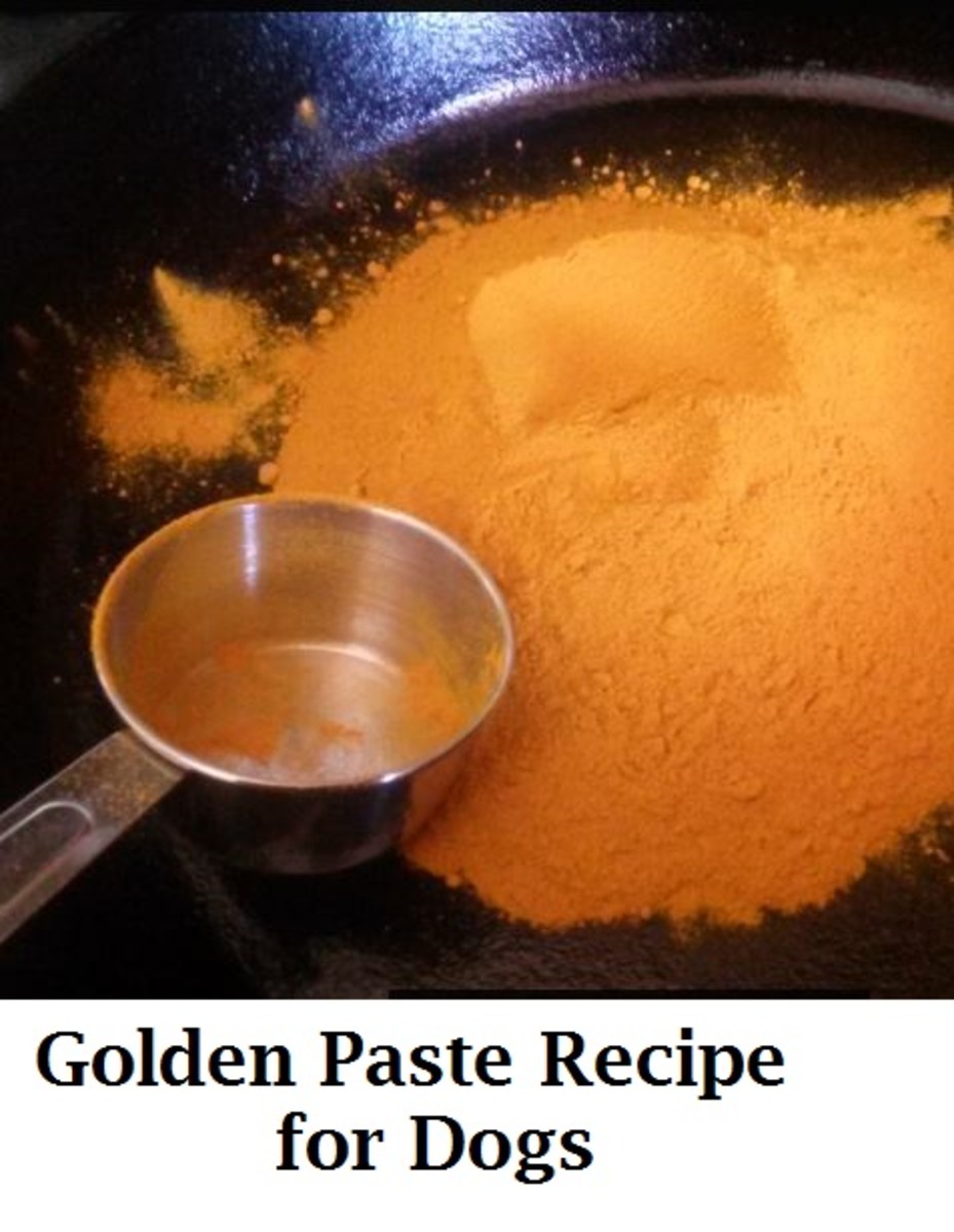 Dog Golden Paste Recipe - Best Pet Home Remedies